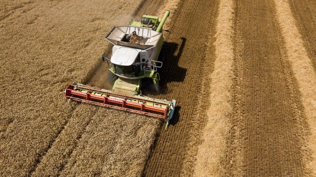 Россия ввела квоты и пошлины на экспорт зерна - «Бизнес»