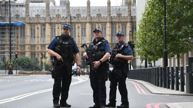 Двое полицейских подверглись нападению на севере Лондона - «Криминал»