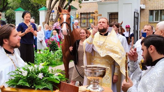 В Москве впервые за сто лет провели чин освящения лошадей - «Религия»
