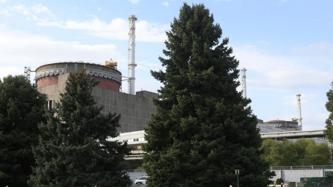 Киев не принимает электроэнергию с ЗАЭС, заявили запорожские власти - «Новости России»