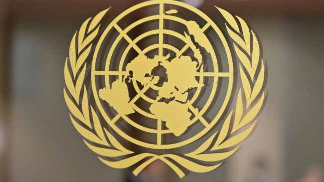 В ООН обеспокоились эксплуатацией детей на Украине в криминальных целях - «Криминал»