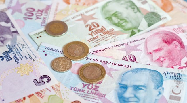 В России рассказали, что нужно делать властям Турции для стабилизации курса лиры - «Бизнес»