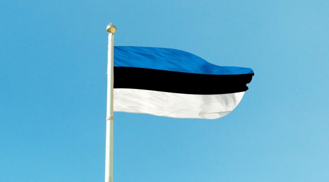 «Известия»: Эстония не может применить закон о конфискации российских активов - «Бизнес»