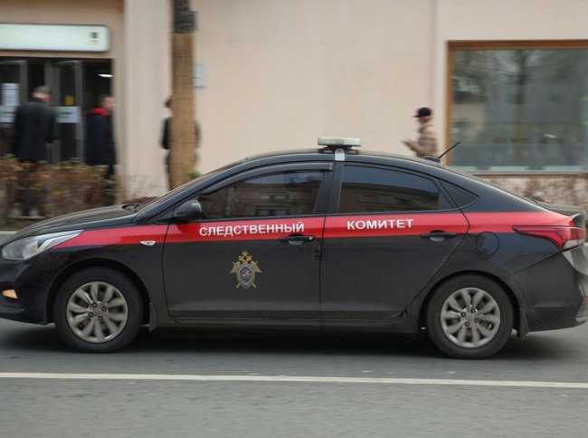 Раскрыты подробности о женщине, утопившей пятилетнего малыша в Москве - «Последние новости»