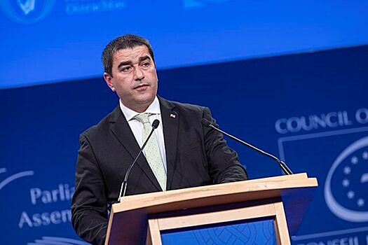 «Неблагодарный человек»: спикер парламента Грузии раскритиковал Зеленского - «Последние новости»