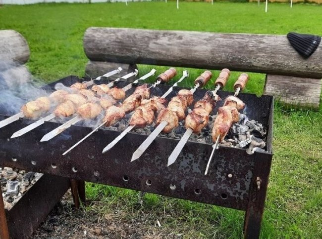 Юрист рассказал, какой штраф может грозить за шашлыки во дворе - «Последние новости»