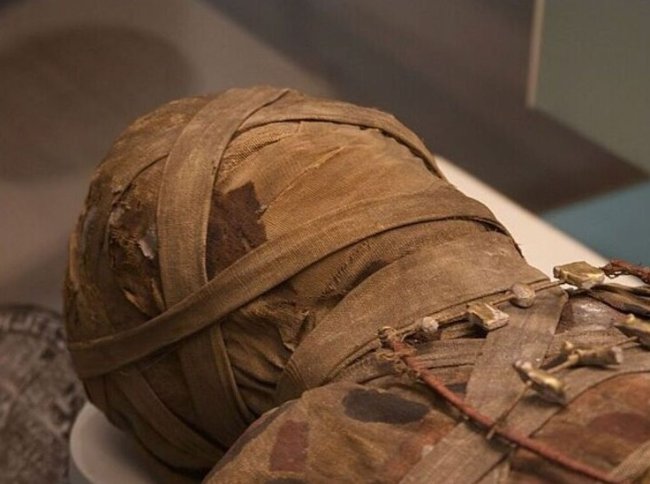 В мумии египетского мальчика нашли скрытый две тысячи лет назад секретный предмет - «Последние новости»