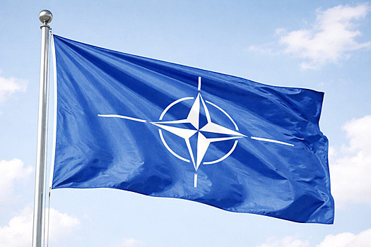 Солидная американская газета опозорилась с расшифровкой НАТО - «Последние новости»