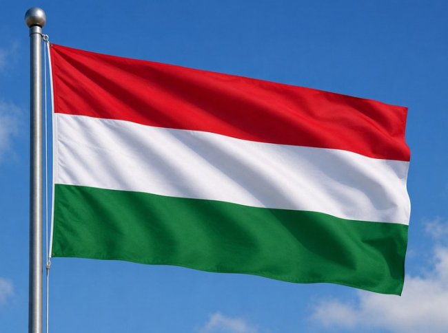 Венгрия выступила против ускоренного вступления Украины в НС - «Последние новости»